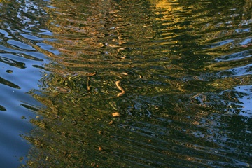 IMG_0763a.jpg